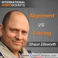 Shaun Ellsworth Power Tool Alignment vs Forcing