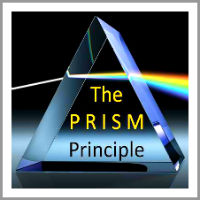 donna_willis_coaching model The P R I S M Principle