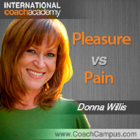 Donna Willis Power Tool Pleasure vs Pain