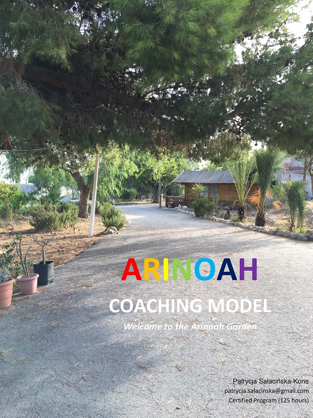 Transformational Coaching Model patrycja_saaciskakone