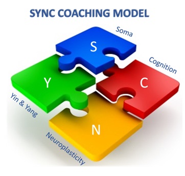 SYNC Coaching Model JeongJu Byun