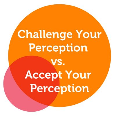 Challenge Your Perception vs. Accept Your Perception Power Tools - Maryan Cabdi