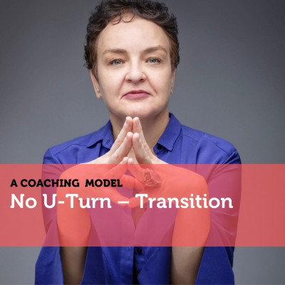 No U-Turn – Transition Coaching Model Monika Sałach