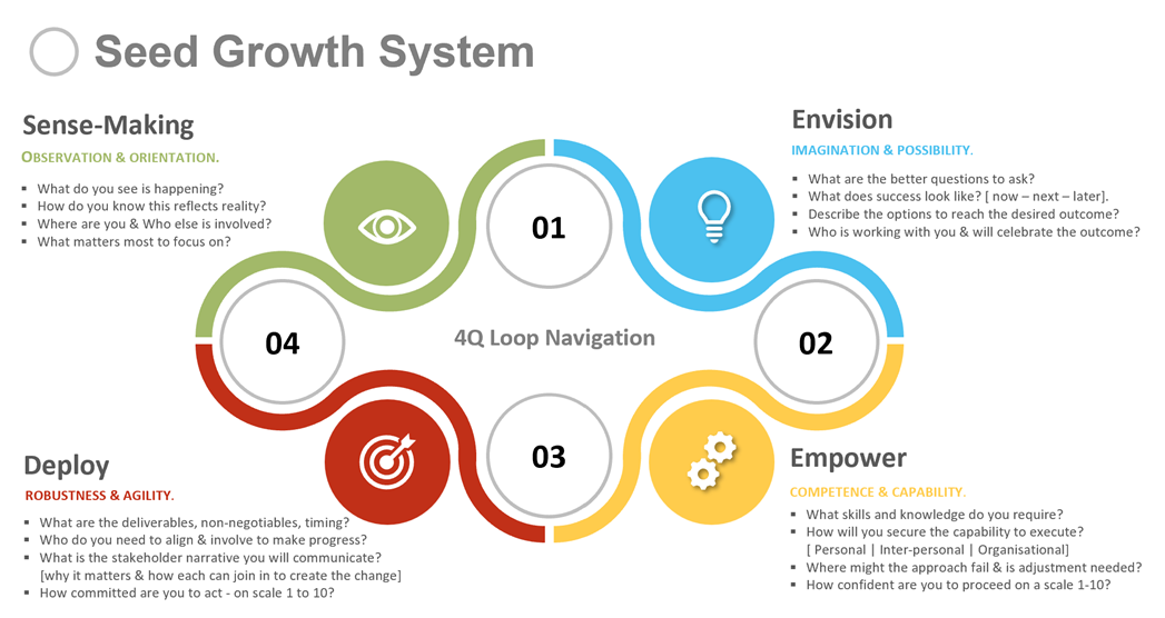 SEED Growth System Coaching Model By John Montgomery